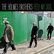 I Saw Your Face by The Holmes Brothers