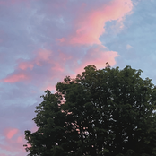 you'd miss me... wouldn't you?