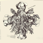 Crux / Flayed
