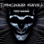 1000 needles