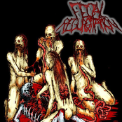 Erotic Night of the Living Dead