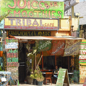 HMS Collective w/ Elliott Levin & Don Preston Live @ The Tribal Cafe