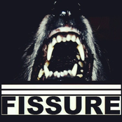 12  tracks from a 4 track