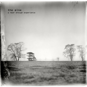 A Near Enough Experience