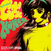 Cutie Honey Song Collection Special