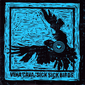 Vena Cava / Sick Sick Birds split