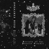 Secrets of the Starlit Citadel