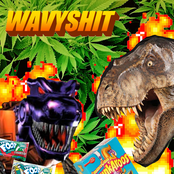wavyshit