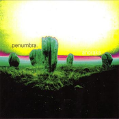 Resonant Waves by Penumbra