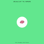 The Almighty Bird Brain