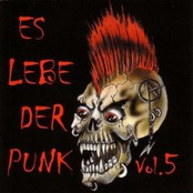 Es Lebe Der Punk Vol. 5