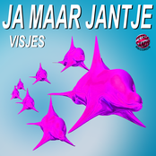 Visjes