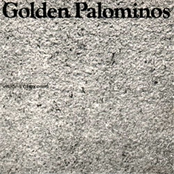 Clustering Train by The Golden Palominos