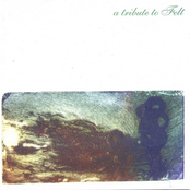 A Tribute To Felt