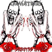 Half-Digested Sanity