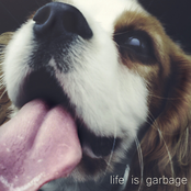 Life is Garbage