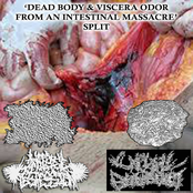 'Dead Body & Viscera Odor From An Intestinal Massacre' Split