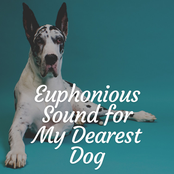 Euphonious Sound For My Dearest Dog