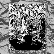 Guidelines for Basement Non Fidel