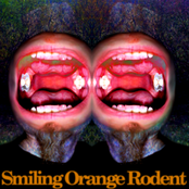 Smiling Orange Rodent