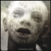 Cribcaged by Pain Of Salvation