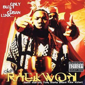 only built for cuban linx