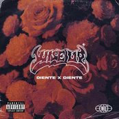 Diente X Diente