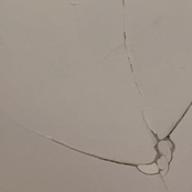 andoutthereeverythingisturbulentand green.