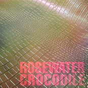 Rosewater Crocodile