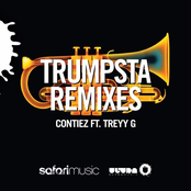 Trumpsta (Djuro Remix) (feat. Treyy G)