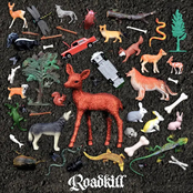 Roadkill