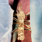 I Keep My Diamond Necklace in a Pond of Sparkling Water