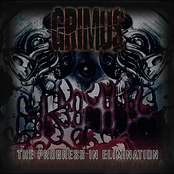 The Progress In Elimination