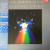 Beautiful Vision by Van Morrison