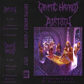 Obnoxious Path of Reincarnation