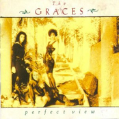 Fear No Love by The Graces