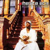 Masta Ace: A Long Hot Summer