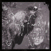 An Entire Wardrobe of Doubt and Uncertainty (disc 1)