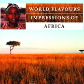 World Flavours: Impressions of Africa