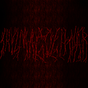 2004-2006 Demo Album (20th Anniversary Celebration)