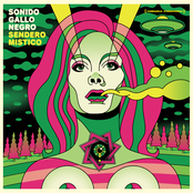 Coup De Poudre by Sonido Gallo Negro