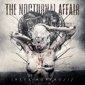 The Nocturnal Affair: Down