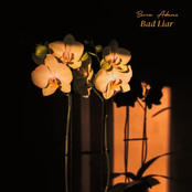 Bad Liar