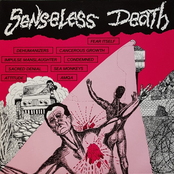 Senseless Death