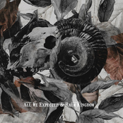 All We Expected & Raum Kingdom Split