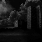 Hedges (Against The Night)