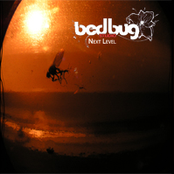 Bedbug Studios