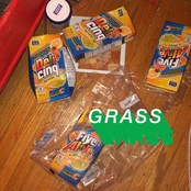 Grass