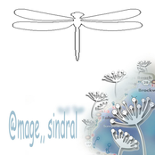 *-* libellule * * @cumbia mix (1457)