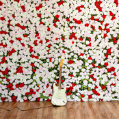 Devin Kennedy: Poetry (Intimate)